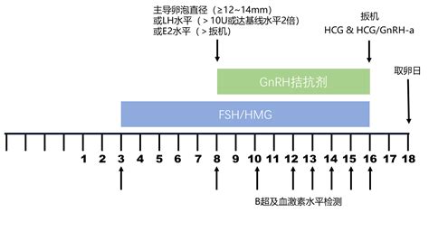 拮抗剂方案