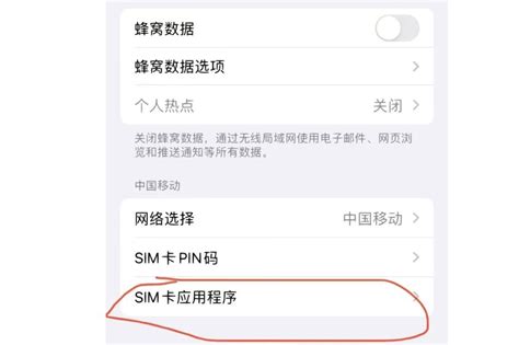 Sim卡应用程序不见了是怎么回事 Apple 社区