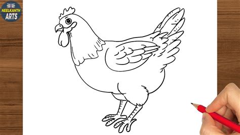 How to Draw a Hen Step by Step मरग क चतर बनन सख Hen