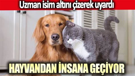 Hayvandan insana geçiyor Uzman isim altını çizerek uyardı