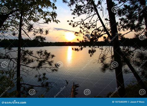 Pine Tree Sunset Silhouette Stock Image - Image of ripple, tree: 107540399