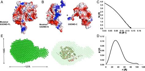 Structure Insight Of Gsdmd Reveals The Basis Of Gsdmd Autoinhibition In Cell Pyroptosis Pnas