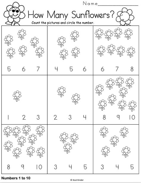 How Many Sunflowers Kindergarten Addition Worksheets Numbers