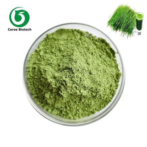 Dried Fruit Vegetable Powder 80 200 Mesh Wheatgrass Powder