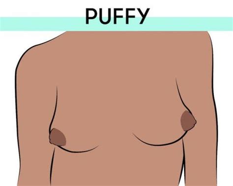 There Are Only 8 Types Of Nipples In The World — Which Kind Do You Have