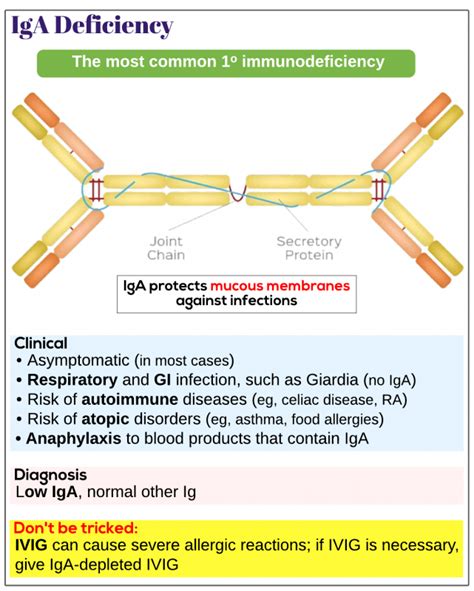 IgA deficiency - Medicine Keys for MRCPs