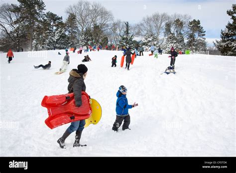 People sledding in Central Park after a snowstorm in New York City, New ...