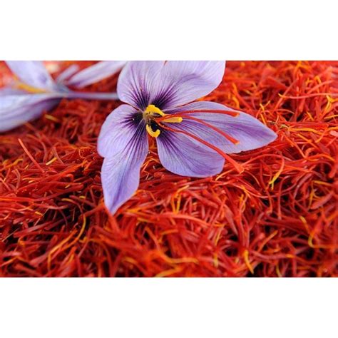 Redleaf Organic Negin Iranian Saffron For Food Industry Packaging