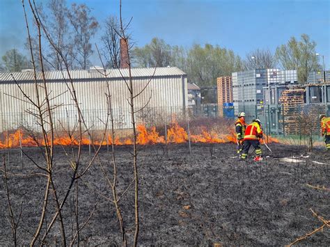 In Letzter Minute Feuerwehr Löscht Flächenbrand Neben Lackfirma Seevetal Aktuell De