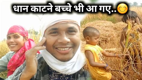 धान की कटाई।। धान काटने बच्चे भी आ गए।। Village Life Style Vlog Youtube