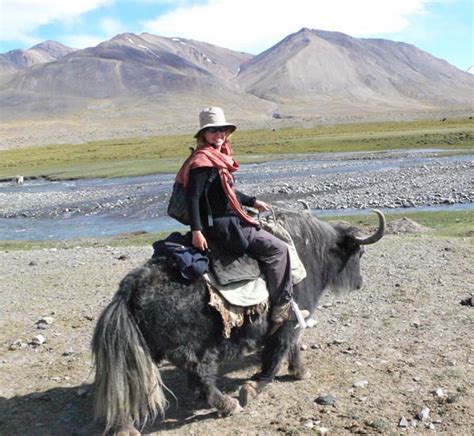 About | Silk Road Digressions
