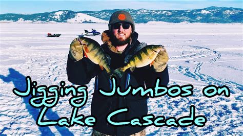 Perch Fishing Lake Cascade Jumbos Underwater Camera YouTube