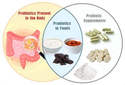 Top Foods with Probiotics - Slideshow