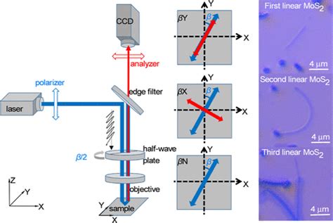 Angle Resolved Polarized Raman Spectra Of Linear Mos2 Nanostructures