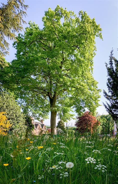 Photos Of The Tower Site Bramcote Old Church Tower