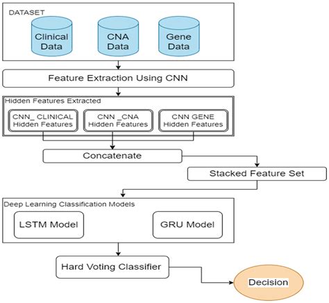 Bdcc Free Full Text A Hybrid Deep Learning Framework With Decision