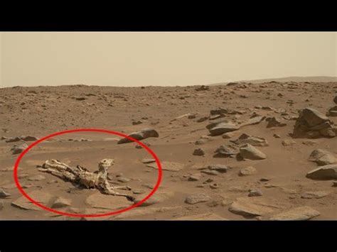 Nasa S Mars Most Recent K Video Footage Perseverance Rover Live