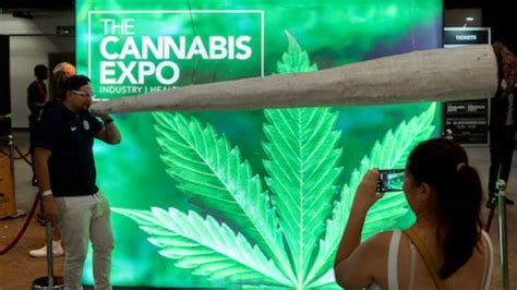 Cape Towns Cannabis Expo Gets New Home At Cticc