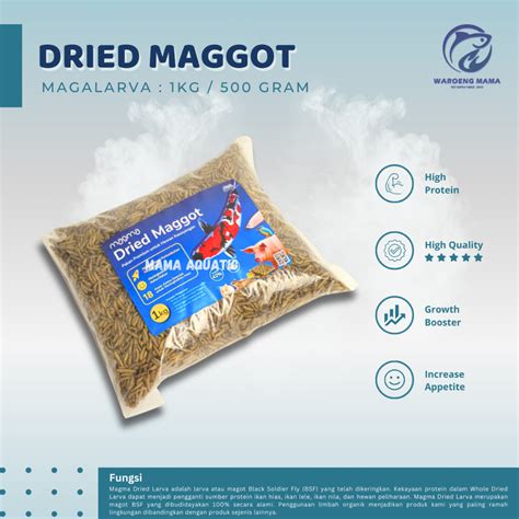 Jual Maggot Kering Bsf Kg Grade Premium Magma Dried Pakan Ikan Channa