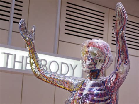 Cannabis Science: Cannabis & Our Bodies | Twisted Extracts