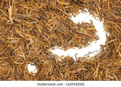 Catuaba Bark Tea Isolated Question Mark Stock Photo