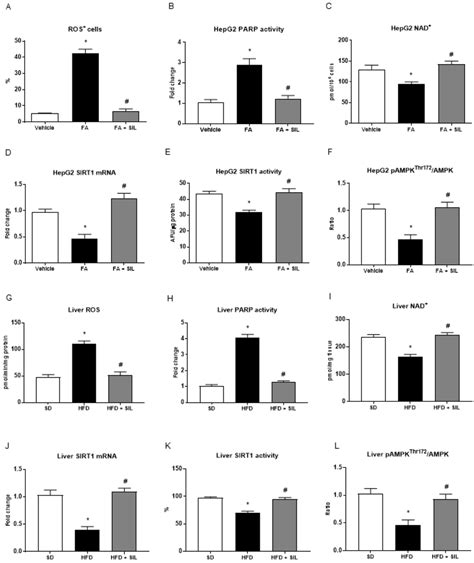 Effects Of Silibinin On Ros Parp Nad Sirt And Ampk Levels In Hepg