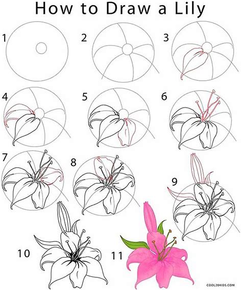 How To Draw A Flower Step By Step With Pictures