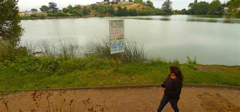 Se Intensifica La Contaminaci N En La Laguna Lo M Ndez La Muerte De