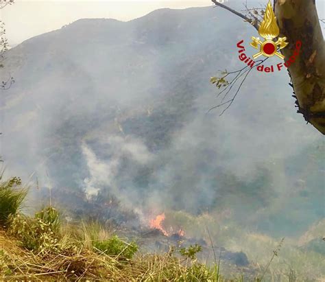 Santo Stefano Camastra Incendio In Contrada Madonna Delle Grazie E