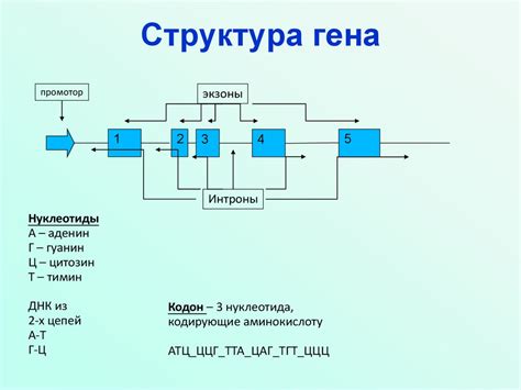 Современные генетические технологии в медицине - презентация онлайн