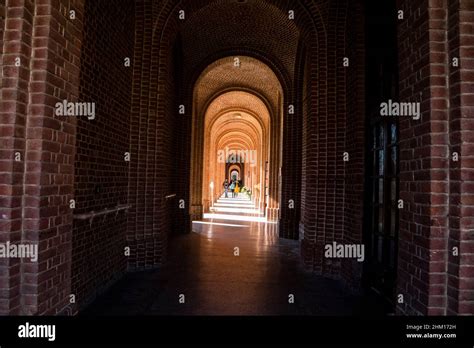 The Forest Research Institute Stock Photo - Alamy