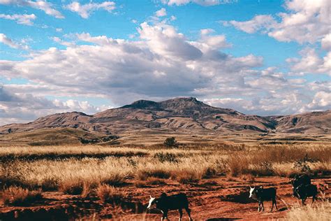 Madagaskar Reisebericht Tipps für eure Rundreise durch Afrika