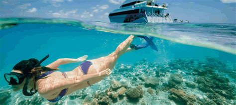 Great Barrier Reef Tours - Most Affordable Amazing Deal Ever Big Discounts