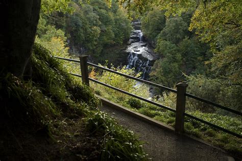 Falls Of Clyde Scottish Wildlife Trust