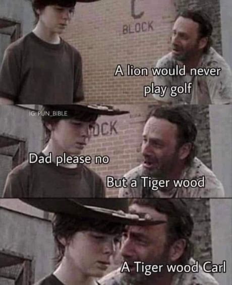 Walking Dead Meme Carl Funny