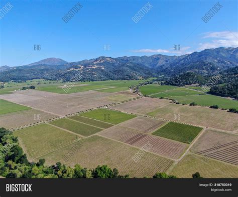 Aerial View Vineyard Image And Photo Free Trial Bigstock