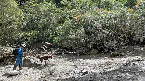 Qué Son Los Protocolos Que Firmó El Estado Con La Guerrilla Del Eln Y