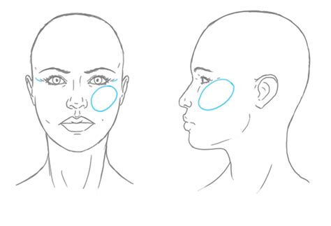 How To Draw Cheekbones Female Face Drawing Face Drawing Sketches