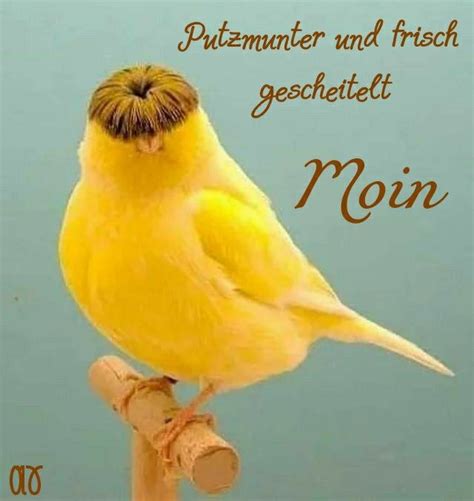 Pin Von Franzi Auf Good Morning Guten Morgen Witzig Guten Morgen