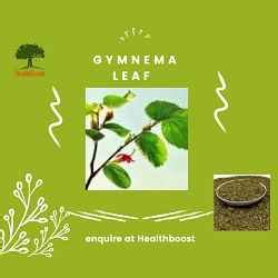 GYMNEMA LEAF EXTRACT – Health Boost