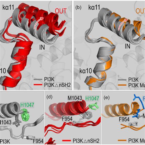 Schematic Illustration Of The PI3K Activation By NSH2 Release