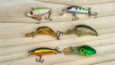 Best Baits For Bluegill Fishing Wired Fish