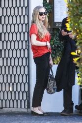 Amanda Seyfried Nude Celebrities Forum FamousBoard Page