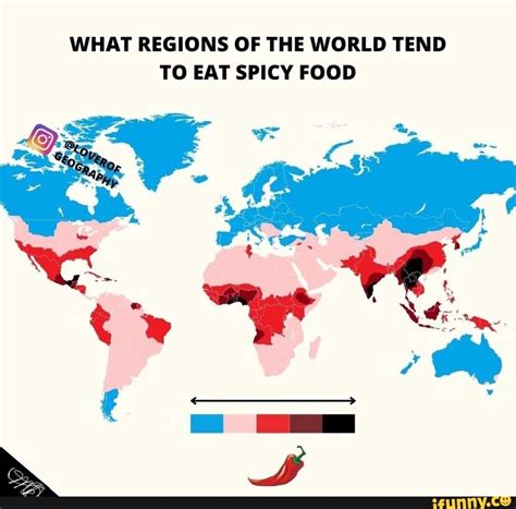 WHAT REGIONS OF THE WORLD TEND TO EAT SPICY FOOD - iFunny