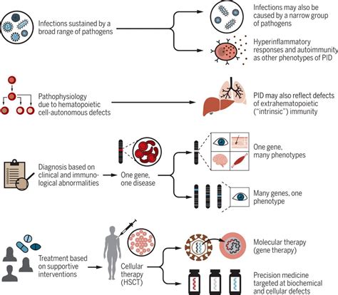 Human Inborn Errors Of Immunity An Expanding Universe Science Immunology