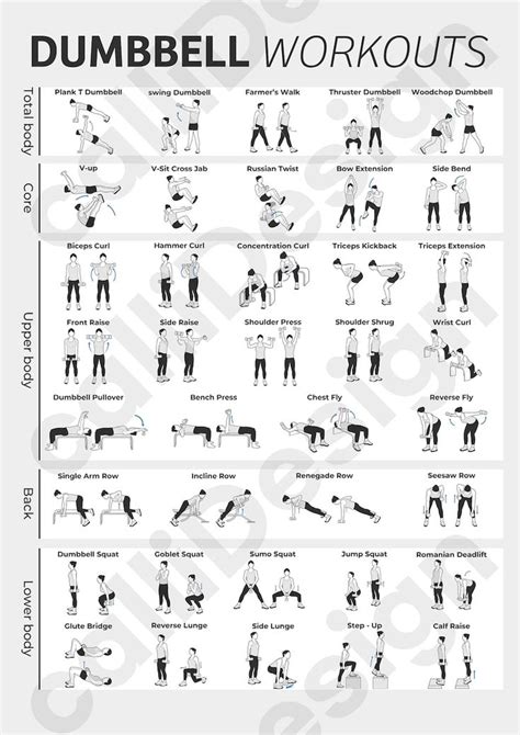 38 Types Of Dumbbell Exercise Illustrations And 1 Type Of Etsy In 2023 Dumbbell Workout