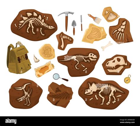 Conjunto arqueológico de esqueleto de dinosaurio de imágenes aisladas