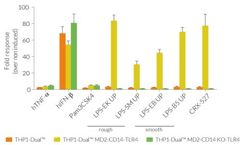 Tlr Cd And Md Expressing Thp Dual Reporter Monocytes For Lps