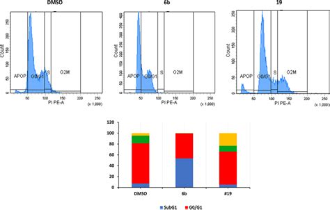 Cell cycle analysis of MCF7 after treatment with derivatives 6b and 19.... | Download Scientific ...