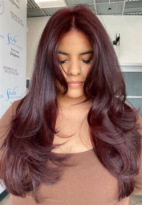 10 Cherry Cola Hair Colour Ideas For A Rich And Vibrant Look In 2024